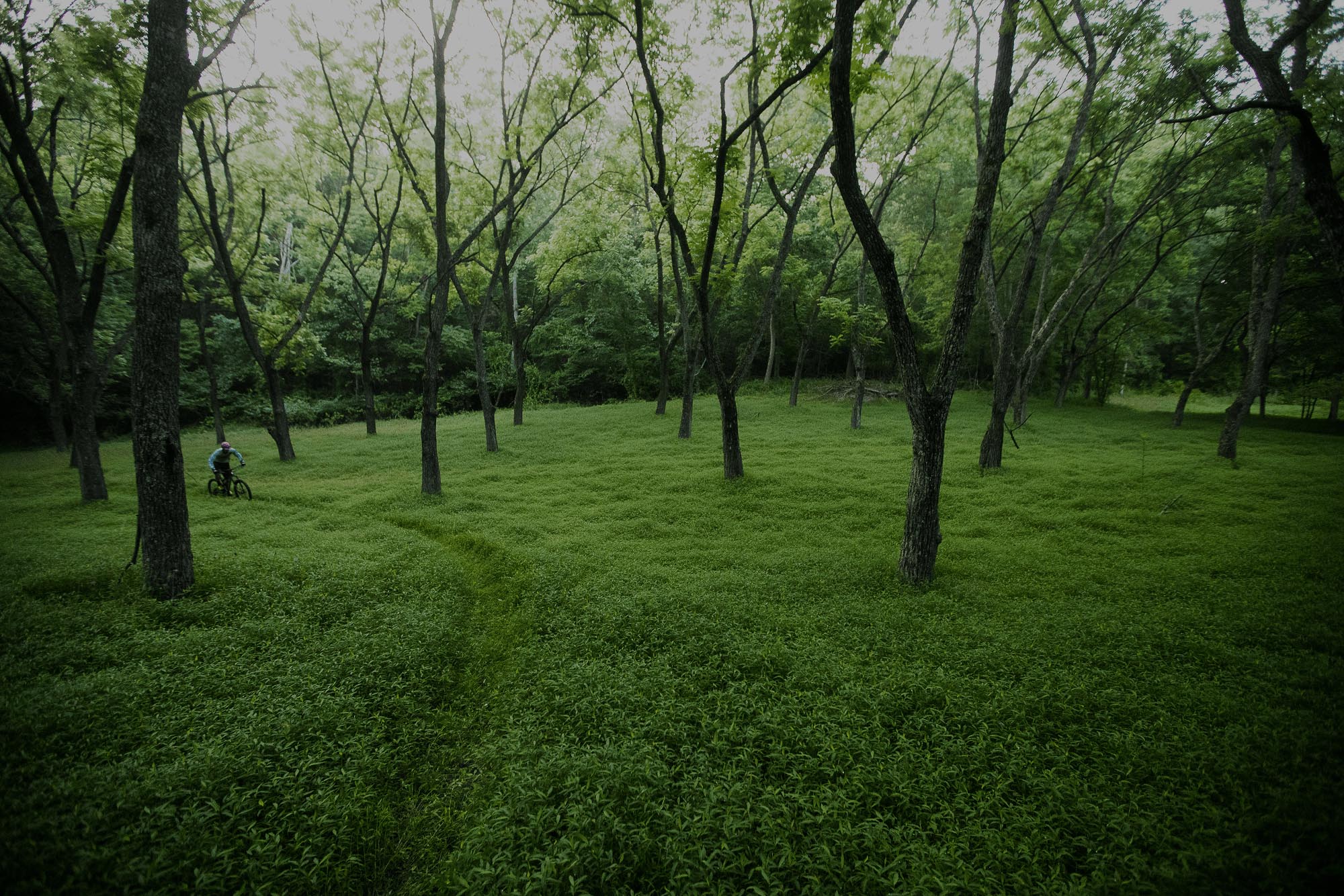 Trail 7