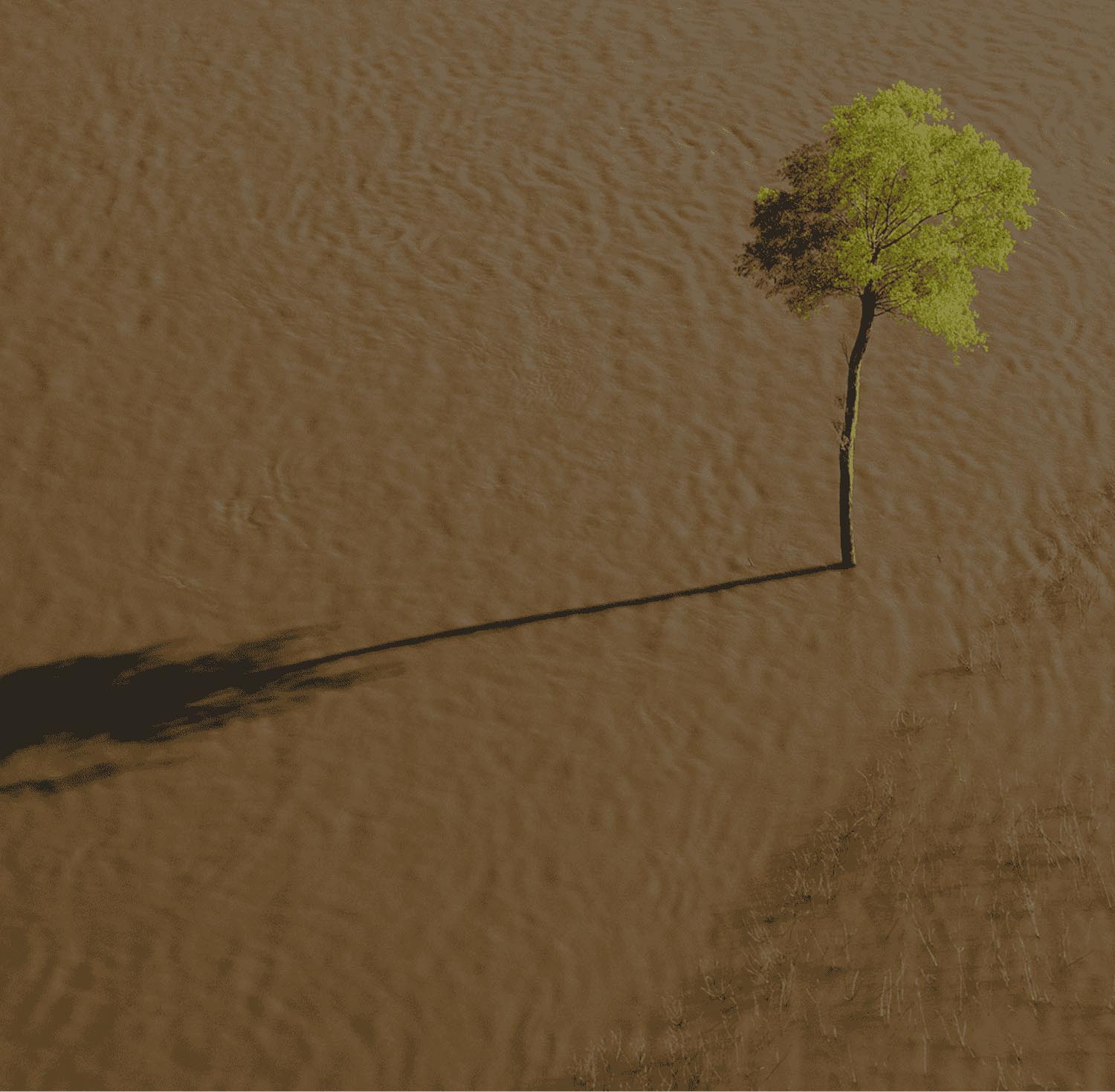 Environment Data Points 03